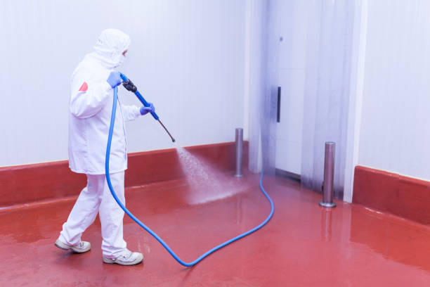Best Restaurant Pressure Washing  in Saegertown, PA