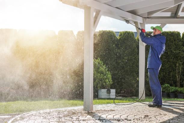 Animal Enclosure Cleaning in Saegertown, PA